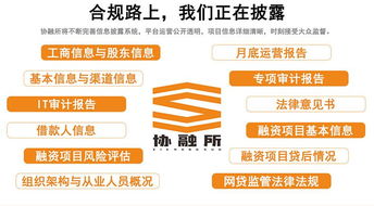 協(xié)融所 多措并舉構筑金融安全壁壘，賦能增值電信業(yè)務穩(wěn)健發(fā)展