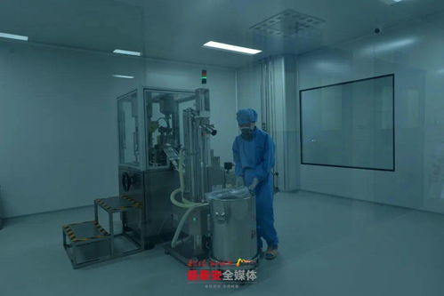 泰安各縣市區 功能區迎來重點項目建設 年中考 一